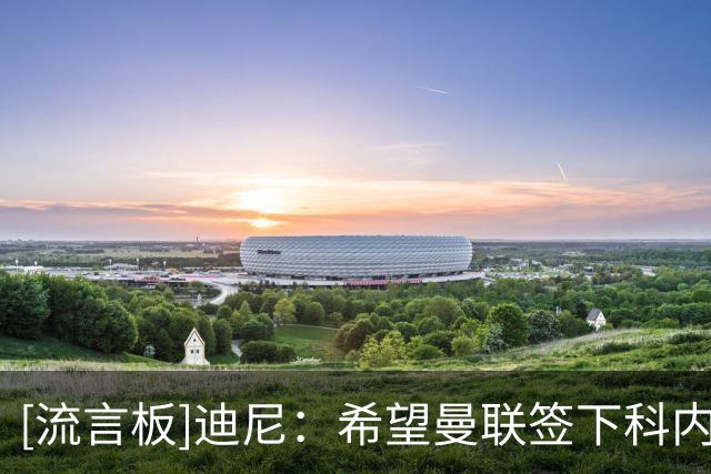 [流言板]迪尼：希望曼联签下科内，在战术理解上他或许比赖斯还聪明